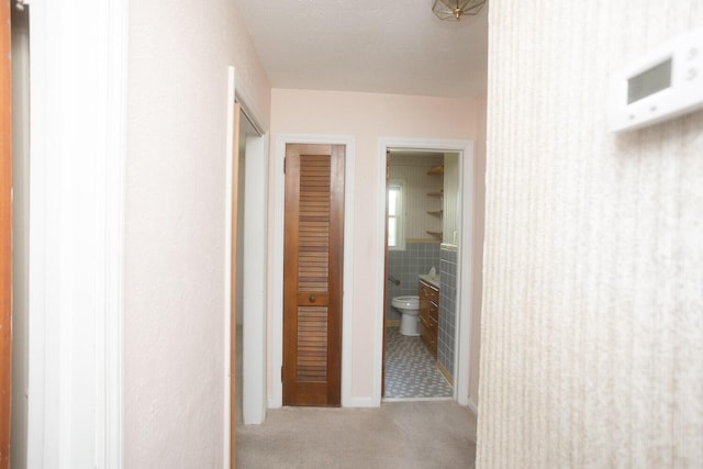 114 Bordeaux St, North Augusta, SC 29841 - corridor featuring carpet and tile walls