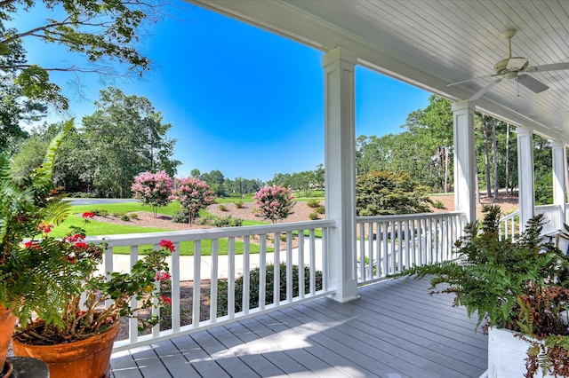 702 Michaels Crk, Evans, GA 30809 - photo 14