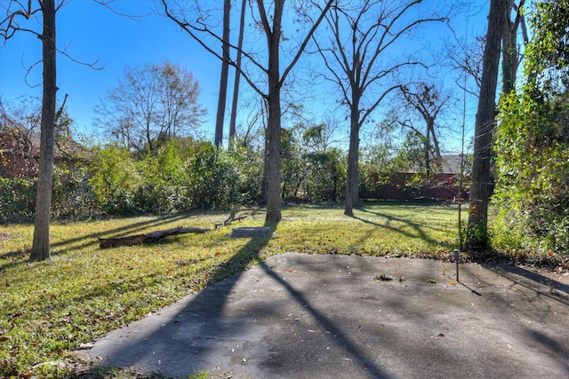 view of yard with a patio area