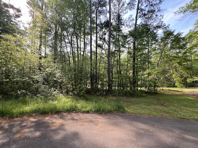 00 Silver Fox Cir, North Augusta SC, 29860 land for sale