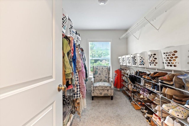 spacious closet with light carpet