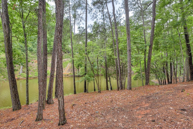 170 Grandview Dr, Mccormick, SC 29835 - view of undeveloped land