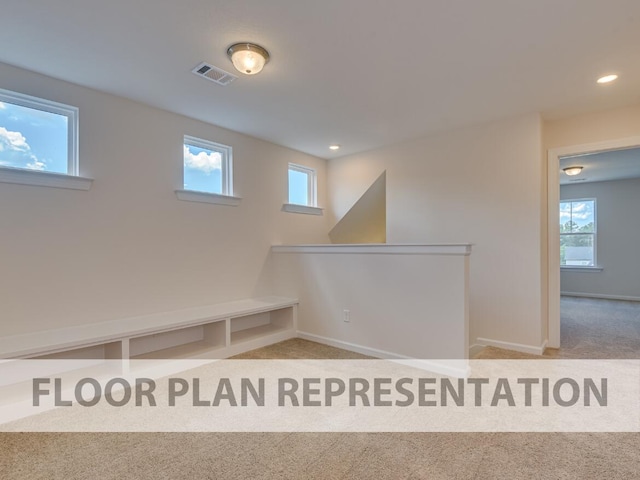 interior space featuring light carpet and a healthy amount of sunlight