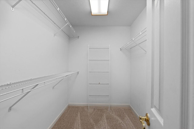 walk in closet with carpet flooring