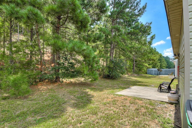 view of yard featuring a patio