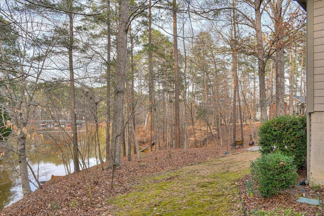 view of yard featuring a water view