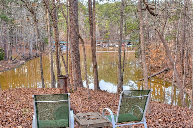 view of dock featuring a water view