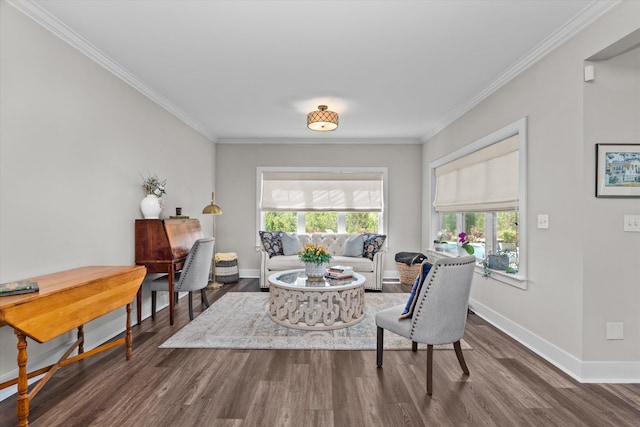 505 Pommel Ct, Aiken, SC 29803 - photo 25