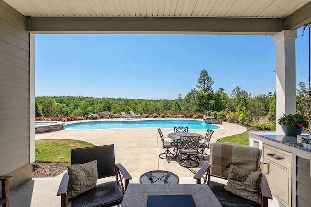 505 Pommel Ct, Aiken, SC 29803 - photo 49