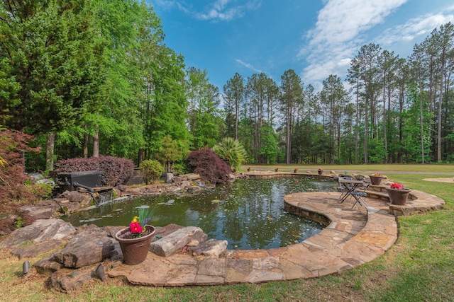 exterior space with a garden pond and a yard