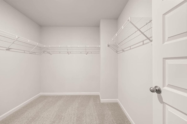 3445 Firestone Dr, Hephzibah, GA 30815 - spacious closet with light carpet