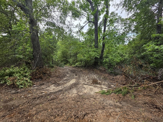 2039 Mcdade Farm Rd, Hephzibah, GA 30815 - view of tree filled area