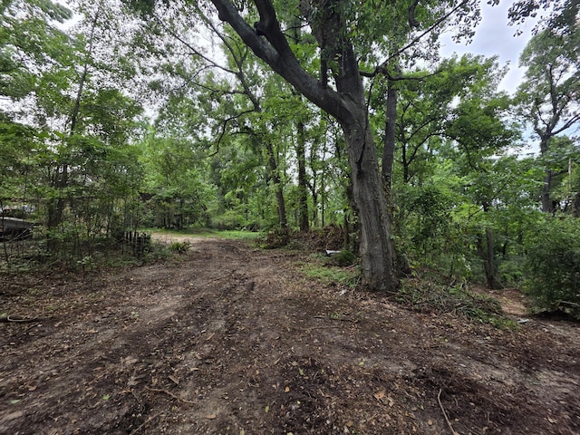 2039 Mcdade Farm Rd, Hephzibah, GA 30815 - view of street featuring a forest view