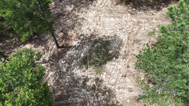 2039 Mcdade Farm Rd, Hephzibah, GA 30815 - view of nature