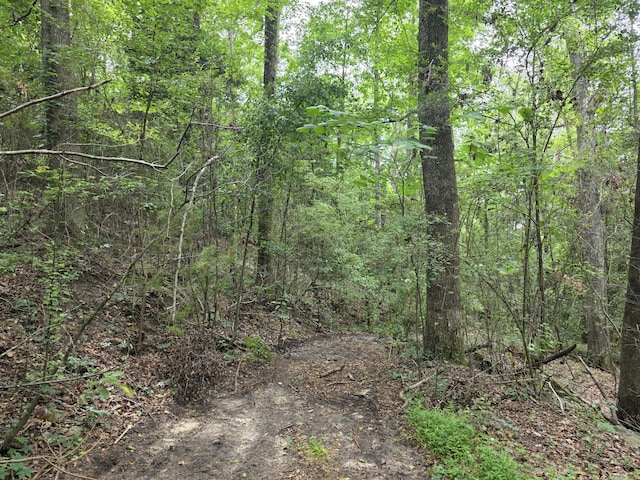 2039 Mcdade Farm Rd, Hephzibah, GA 30815 - view of tree filled area