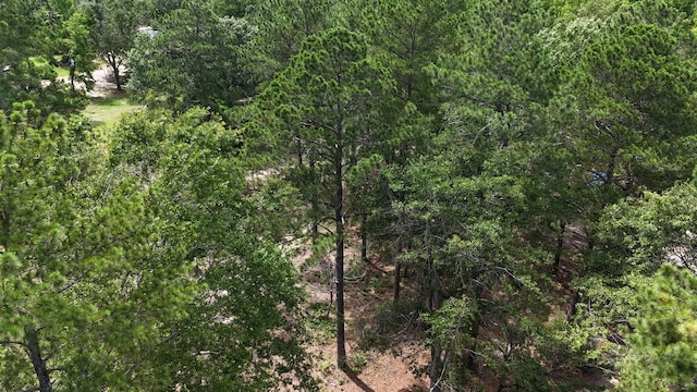 2039 Mcdade Farm Rd, Hephzibah, GA 30815 - view of wooded area