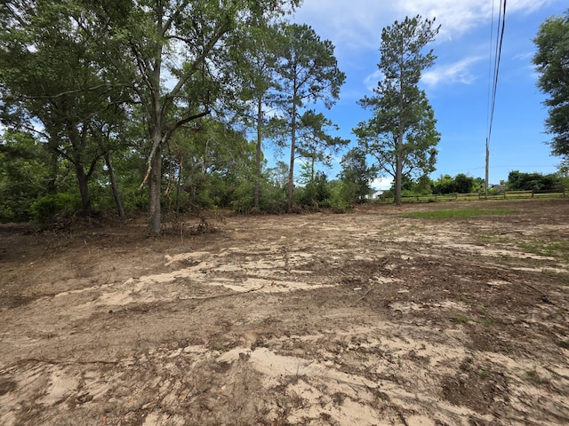 2039 Mcdade Farm Rd, Hephzibah, GA 30815 - view of yard