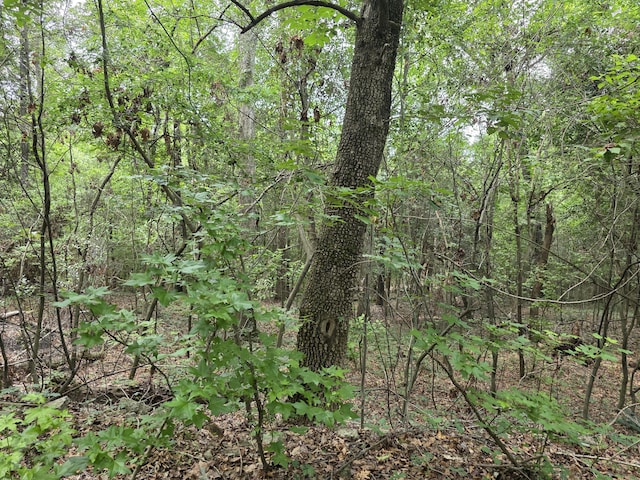2039 Mcdade Farm Rd, Hephzibah, GA 30815 - view of tree filled area