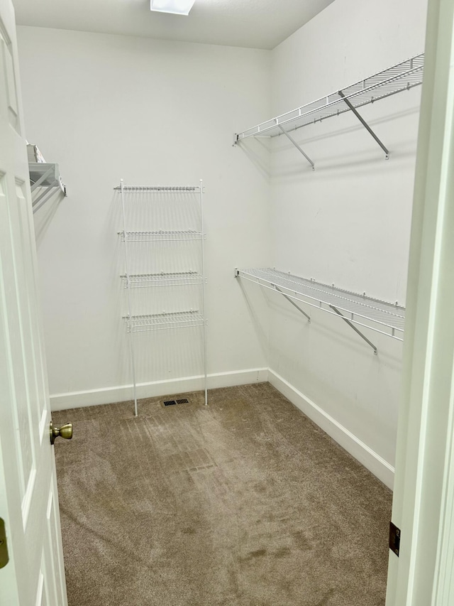walk in closet with carpet and visible vents