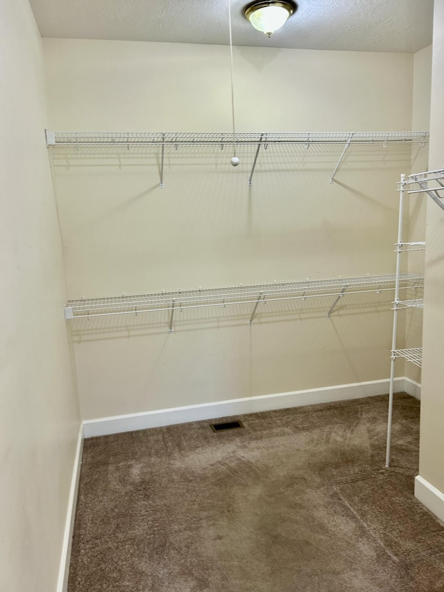spacious closet featuring carpet flooring and visible vents