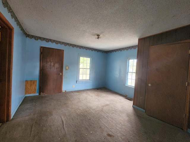 carpeted empty room featuring plenty of natural light and a textured ceiling