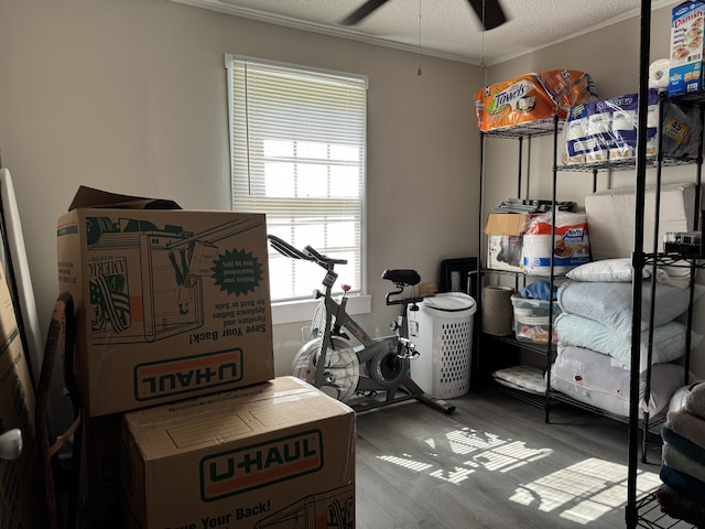 2402 Wheeless Rd, Augusta, GA 30906 - storage room featuring ceiling fan