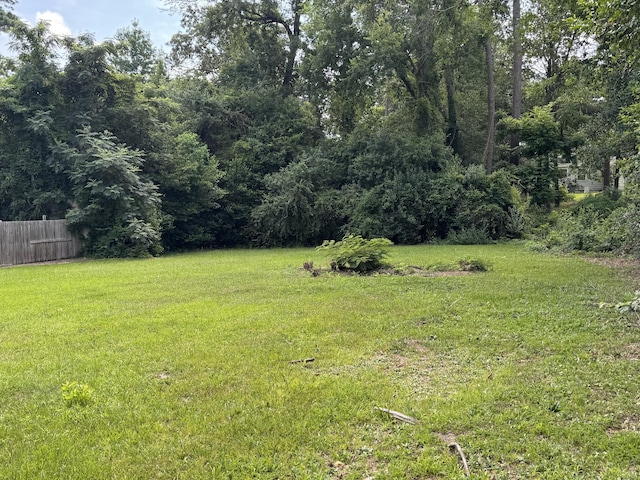 2402 Wheeless Rd, Augusta, GA 30906 - view of yard