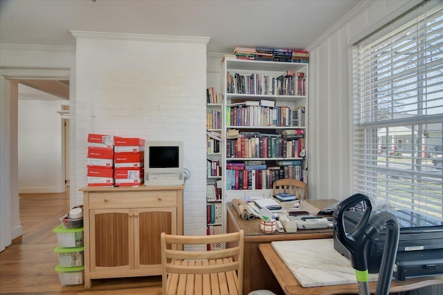 office featuring crown molding and light wood-style floors