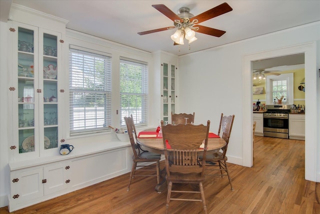 dining space with ceiling fan and light wood-style flooring