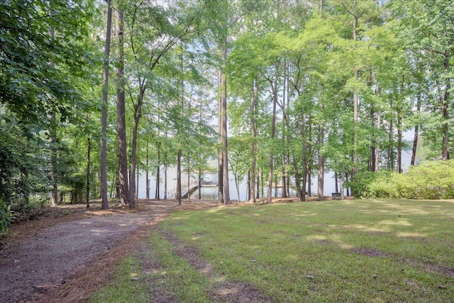 1695 Buckhead Dr, Tignall, GA 30668 - photo 37
