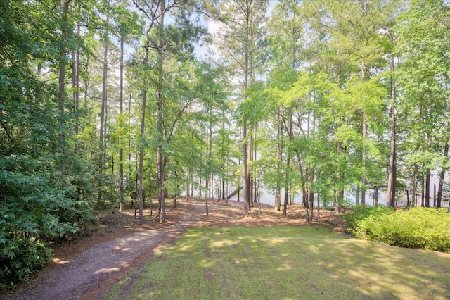 1695 Buckhead Dr, Tignall, GA 30668 - photo 38