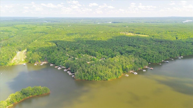 1695 Buckhead Dr, Tignall, GA 30668 - photo 50