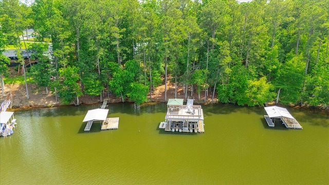 1695 Buckhead Dr, Tignall, GA 30668 - photo 49