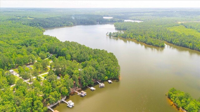 1695 Buckhead Dr, Tignall, GA 30668 - photo 47
