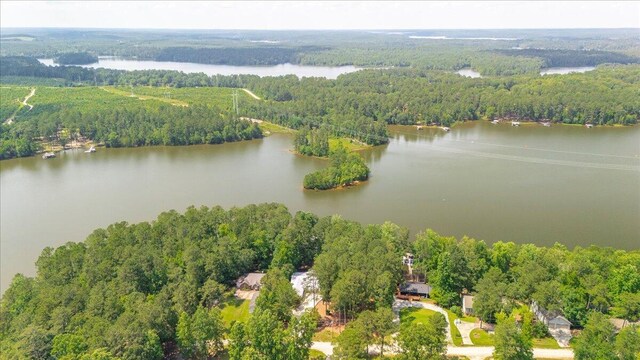 1695 Buckhead Dr, Tignall, GA 30668 - photo 44