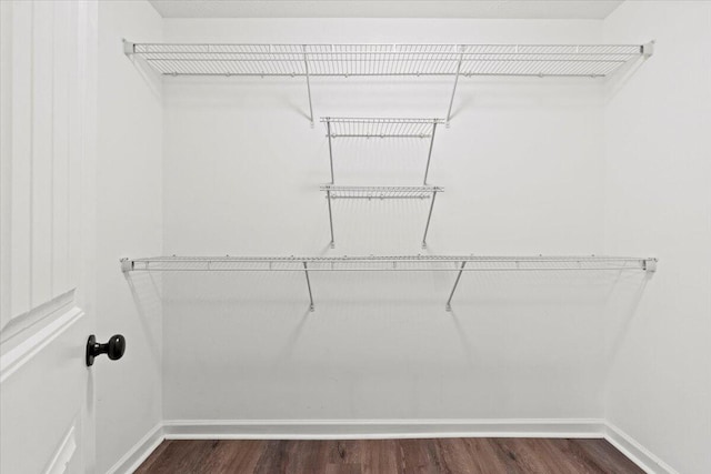 3382 Grove Landing Cir, Grovetown, GA 30813 - spacious closet with dark wood-style floors