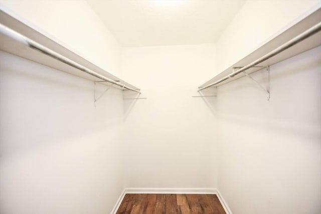 4552 Bettys Branch Way, Evans, GA 30809 - walk in closet featuring wood finished floors