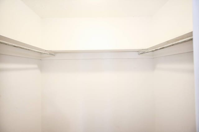 4552 Bettys Branch Way, Evans, GA 30809 - view of spacious closet