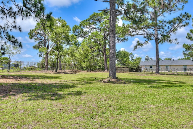 3831 Highpointe Dr, Hephzibah, GA 30815 - view of yard