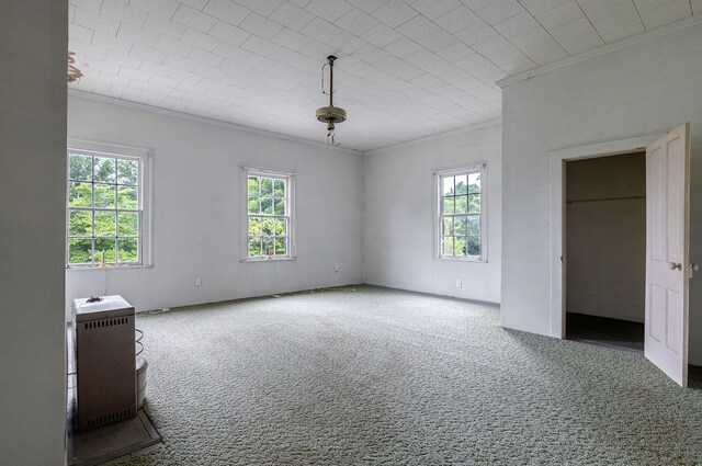 spare room with hardwood / wood-style flooring and wood walls