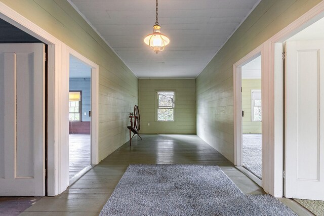 corridor featuring wooden walls and light colored carpet