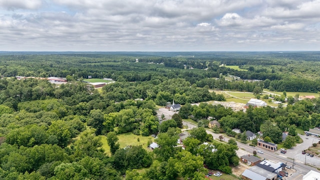 bird's eye view