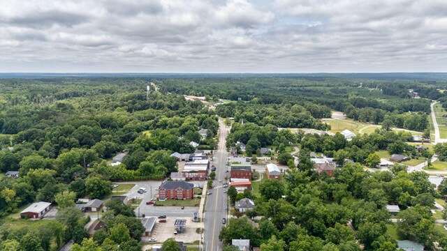 bird's eye view