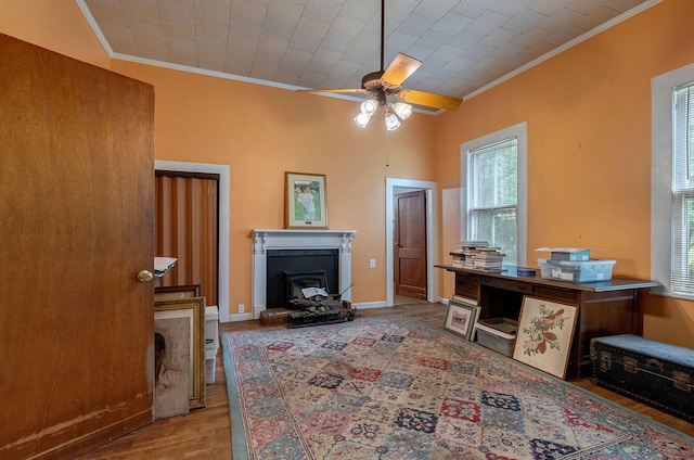 office space with hardwood / wood-style floors, ceiling fan, and ornamental molding