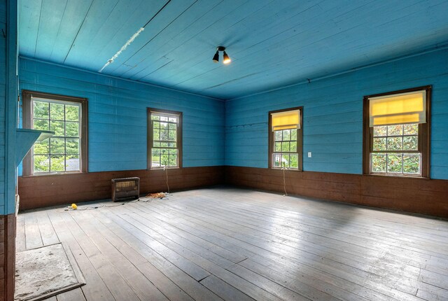 empty room featuring wooden walls and wood-type flooring