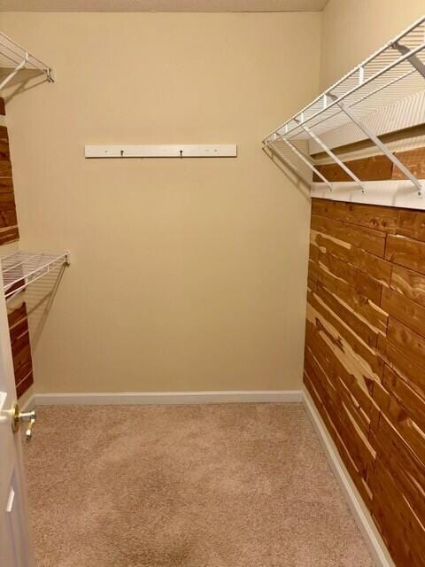 2949 Hillcreek Dr, Augusta, GA 30909 - spacious closet with carpet floors