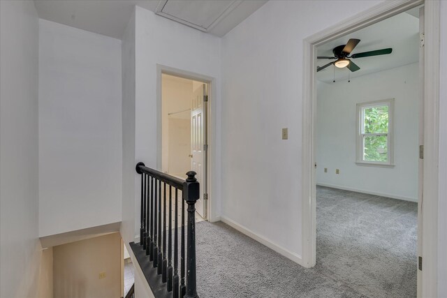 227 Water Oak Dr, Augusta, GA 30904 - bathroom with healthy amount of natural light, toilet, vanity, baseboards, and lofted ceiling