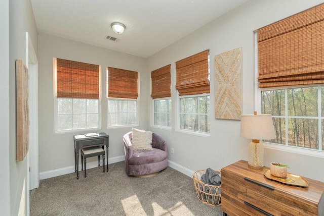 sitting room with carpet flooring