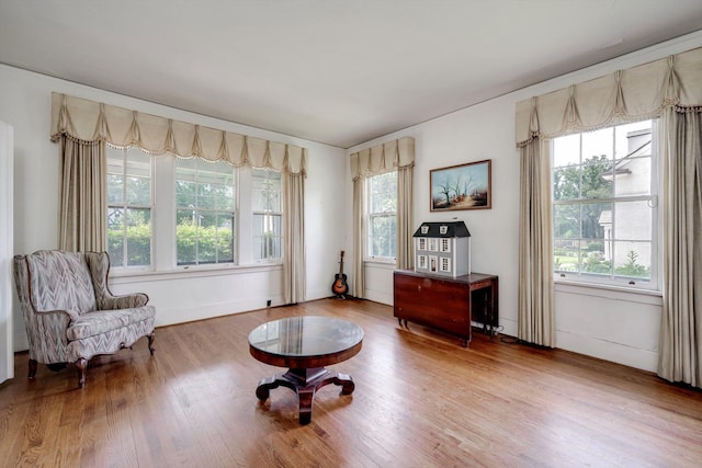 1203 Highland Ave, Augusta, GA 30904 - living area featuring plenty of natural light and wood finished floors