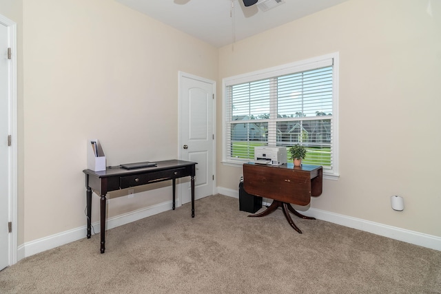 236 Andrews Ln, Grovetown, GA 30813 - photo 38